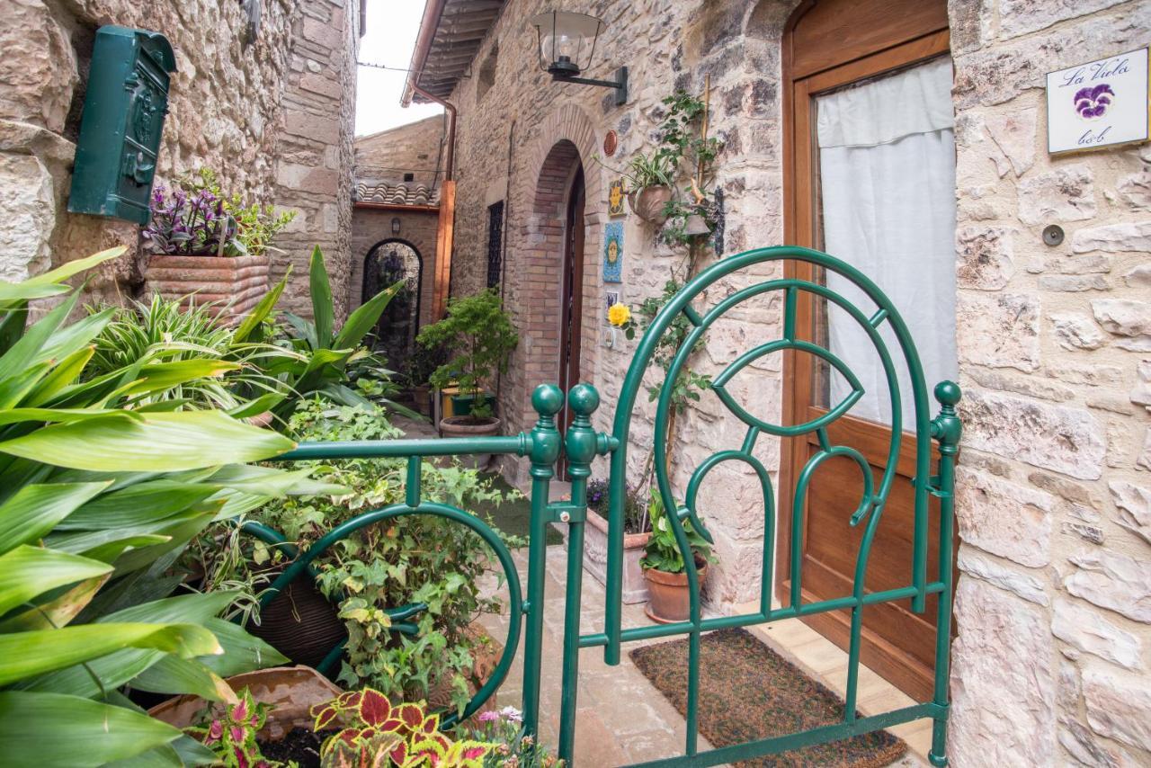 La Viola Di Gasthof 2*