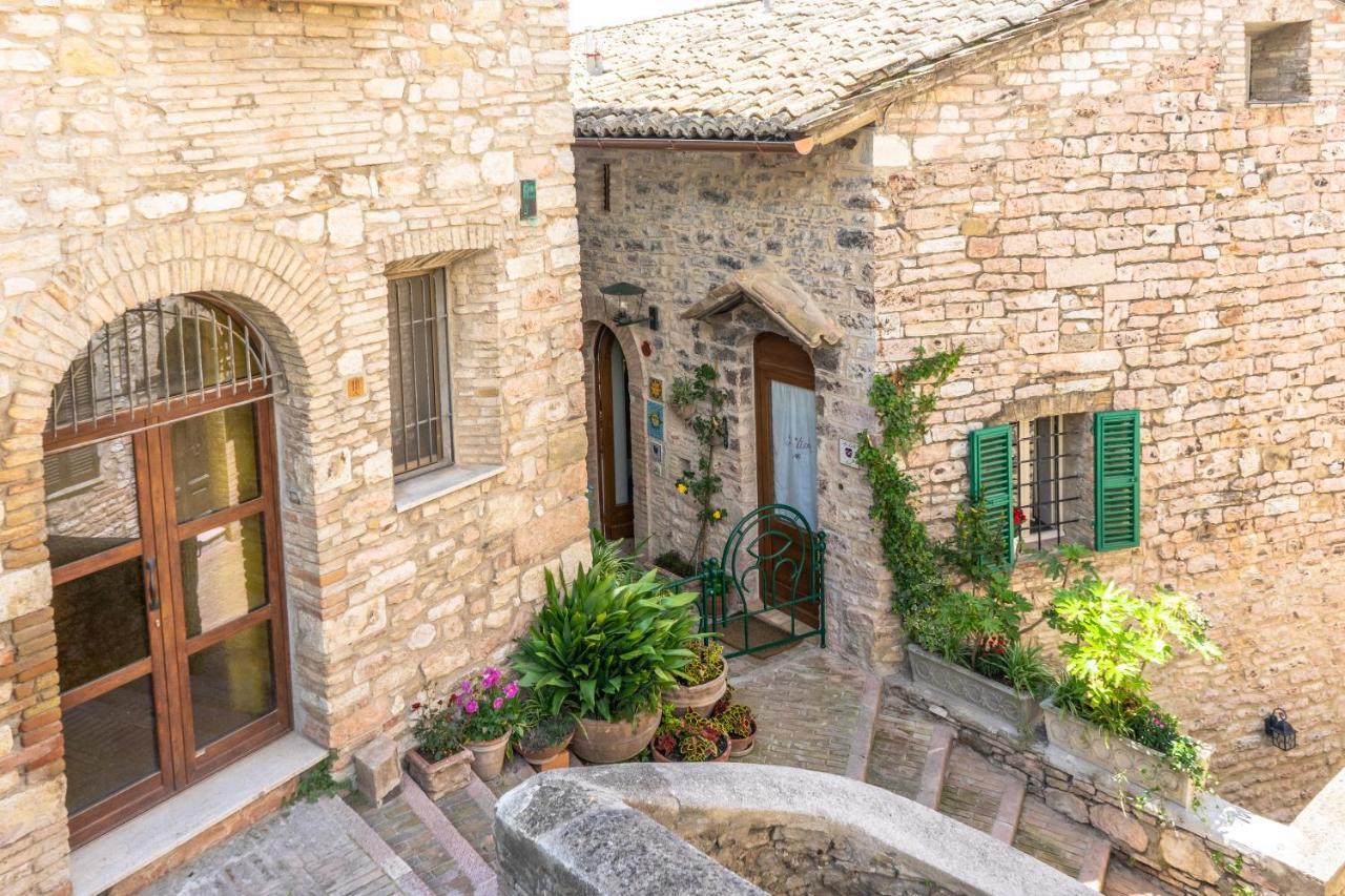 Gasthof La Viola Di