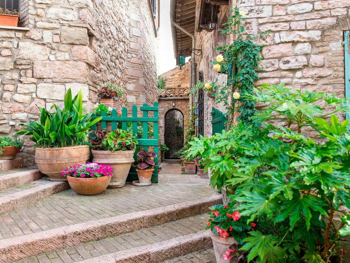Gasthof La Viola Di